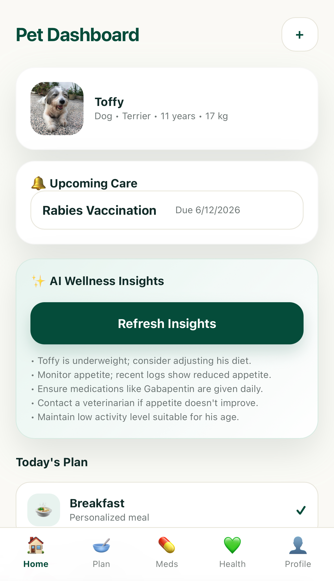 Salvetra Dashboard
